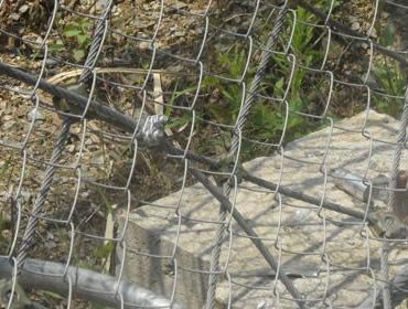 成人AV午夜福利区