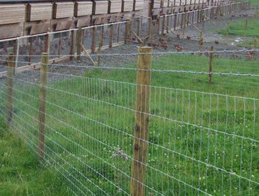 草原用午夜精品久久久久久久精